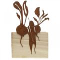 Floristik24 Pflanzkiste Holz mit Rostdeko Gemüse Übertopf 17×17×12cm
