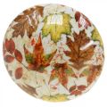 Holzpilz Deko Herbstlaub Weiß, Bunt Herbstdeko Ø13cm H19cm | Floristik24.ch