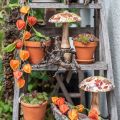 Holzpilz Deko Herbstlaub Weiß, Bunt Herbstdeko Ø13cm H19cm | Floristik24.ch