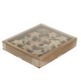 Floristik24 Holzstern Natur 5cm - 6cm in Box 12St