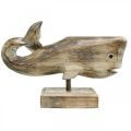 Floristik24 Wal Deko Holz Holzwal Maritime Dekoration Teak Natur 29cm