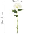 Hortensie künstlich Creme 60cm langstielig | Floristik24.ch