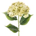 Floristik24 Künstliche Hortensie aus Seidenstoff mit Stiel und Blättern 60 cm creme-grün