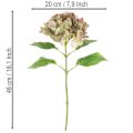 Künstliche Hortensie mit Stiel 46 cm aus Textil und Kunststoff in Hellgrün mit Rosa-Lila Rändern | Floristik24.ch