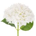 Floristik24 Künstliche Hortensienblume mit langem Stiel, 48 cm, weiss, für Dekoration