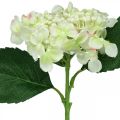 Floristik24 Hortensie, Seidenblume, Kunstblume für Tischdeko Weiß, Grün L44cm