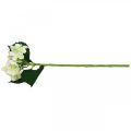 Floristik24 Hortensie, Seidenblume, Kunstblume für Tischdeko Weiß, Grün L44cm