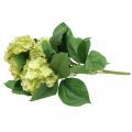 Floristik24 Hortensie künstlich Grün Kunstblume Strauß 5 Blüten 42cm
