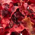 Künstlicher Hortensienzweig Rot 74cm | Floristik24.ch