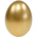 Floristik24 Hühnereier Golden Ausgeblasene Eier Osterdeko 10St