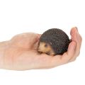 Igel Dekofigur aus Polyresin Braun 8cm für Innenbereich | Floristik24.ch