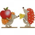 Floristik24 Herbstfigur, Igel mit Apfel und Pilz, Holzdeko Orange/Rot H24/23,5cm 2er-Set