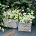 Floristik24 Kästen zum Bepflanzen, Holzdeko, Dekokiste mit Bienen, Frühlingsdeko, Shabby Chic L15/12cm H10cm 2er-Set