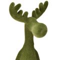 Kantenhocker Elch Deko Kantensitzer Grün H31cm 2 St | Floristik24.ch