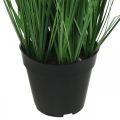Floristik24 Riedgras im Topf mit Ähren künstlich Carex Kunstpflanze 98cm