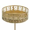 Floristik24 Florale Kerzenhalter zum Stecken Golden Ø7,4cm H12,5cm 4 St Antik-Optik