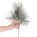 Künstlicher Kiefernzweig mit Zapfen 40 cm winterlich grün-weiss | Floristik24.ch