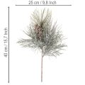 Künstlicher Kiefernzweig mit Zapfen 40 cm winterlich grün-weiss | Floristik24.ch