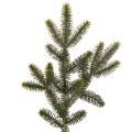 Floristik24 Künstlicher Tannenzweig 45 cm Grün 3-er Set für Dekoration