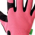 Floristik24 Kixx Synthetik Handschuhe Gr.8 Rosa, Schwarz