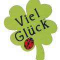 Floristik24 Kleeblatt „Viel Glück" Holzdeko zum Kleben Grün 3,5cm 45St
