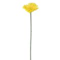 Floristik24 Künstliche Blumen Gerbera Gelb 45cm