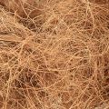 Kokosfaser Natur Pflanzenfaser Naturfaser Bastelmaterial 1kg | Floristik24.ch