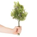 Konifere Kunstzweig mit Zapfen 39 cm Grün 4er-Set für Tischdekoration | Floristik24.ch