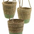 Floristik24 Blumenampel, Naturkorb, Pflanzgefäß zum Hängen Naturfarben, Grün Ø19/17/15cm 3er-Set