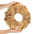 Baumschwamm-Kranz naturfarben 37cm für Tür- und Wanddekoration | Floristik24.ch