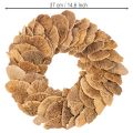 Baumschwamm-Kranz naturfarben 37cm für Tür- und Wanddekoration | Floristik24.ch