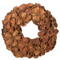 Floristik24 Türkranz aus getrocknetem Landlotus, braun, 35 cm