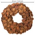 Türkranz aus getrocknetem Landlotus, braun, 35 cm | Floristik24.ch