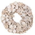 Floristik24 Trockenblumenkranz aus Landlotus-Blüten 35 cm geweisst