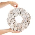 Trockenblumenkranz aus Landlotus-Blüten 35 cm geweisst | Floristik24.ch