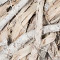 Türkranz aus Holz in Geweiss 40 cm | Floristik24.ch