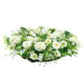 Floristik24 Blumenkranz Deko Weiß Bellis Türkranz Seidenblumen Ø30cm