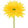 Floristik24 Künstliche Gerbera in Sonnengelb, 47 cm, Kunststoff und Metall 6St