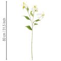 Künstlicher Gloriosa Blütenzweig weiss gelb aus Kunststoff und Stoff 80 cm 3er-Set | Floristik24.ch