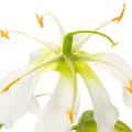 Künstlicher Gloriosa