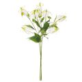 Künstlicher Gloriosa