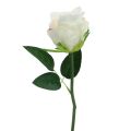 Künstliche Rosen im Bund Weiß 30cm 8 St | Floristik24.ch