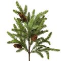 Floristik24 Künstlicher Tannenzweig mit echten Zapfen Weihnachtszweig 78cm