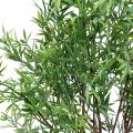 Floristik24 Künstlicher Bambus Zweige Dekozweig Kunstpflanzen H70cm 3St