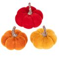 Floristik24 Deko Kürbis Set aus Samt, 5 cm, Rot, Orange, Gelb, 12 Stück