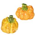 Floristik24 Kürbis Figuren aus Keramik 10 cm 2er-Set für herbstliche Dekoration