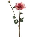 Floristik24 Künstliche Dahlie mit Knospe H57cm Pink