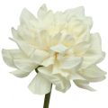 Floristik24 Kunstblume Dahlie Weiß Künstliche Blume mit Knospe H57cm