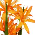 Floristik24 Kunstblumen Nerine Orange Guernseylilien Herbstblumen 48cm