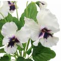 Floristik24 Kunstblumen, Seidenblumen, Stiefmütterchen Lila Weiß 29cm
